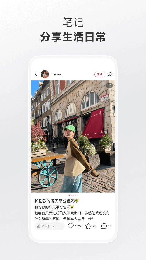 夏日绿浪翻滚的向日葵田中飞舞的凤尾蝶壁纸